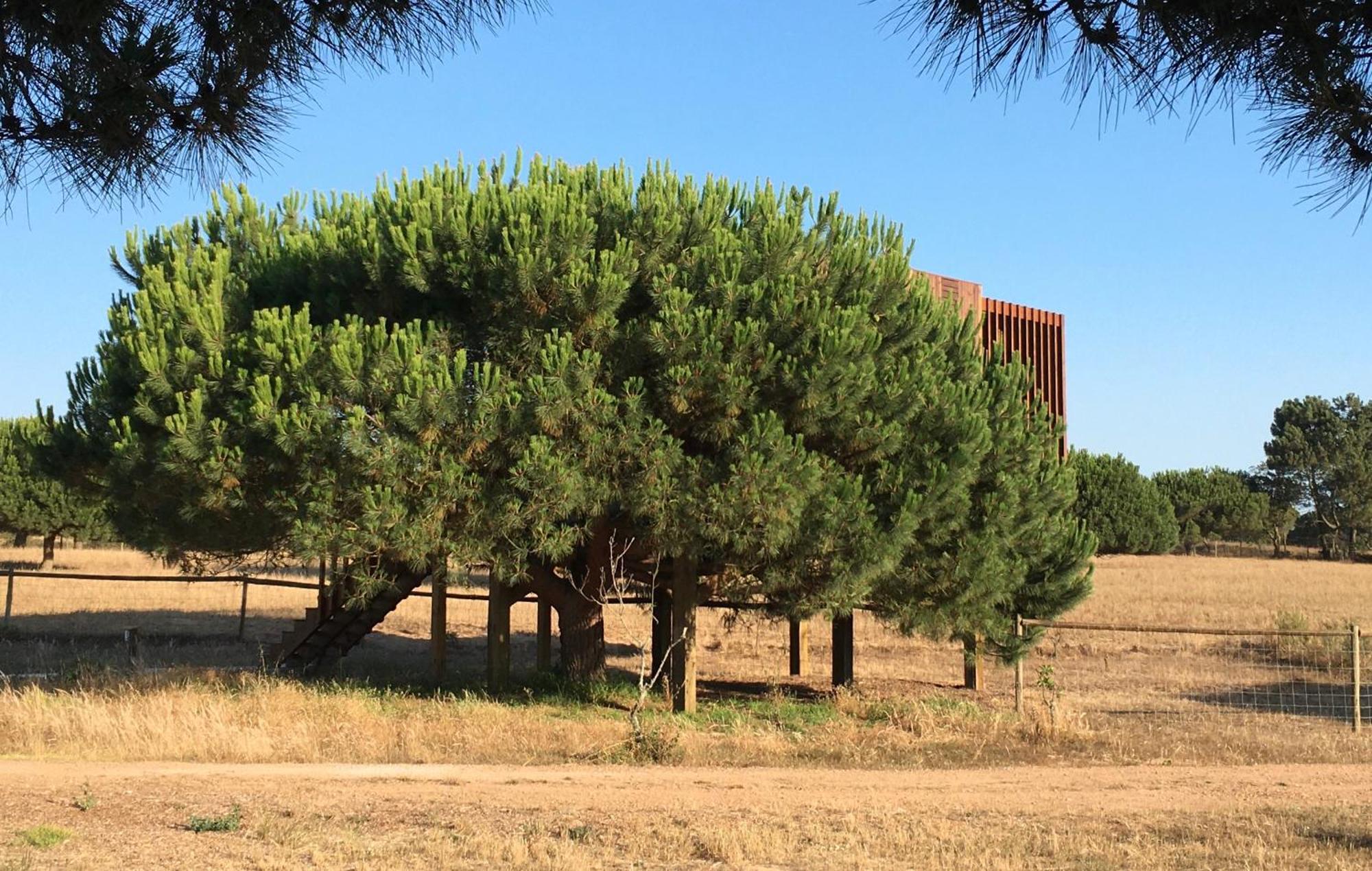 Tres Marias Hotel Vila Nova de Milfontes Szoba fotó